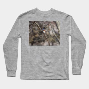 Eastern Blue Bird in Michigan Long Sleeve T-Shirt